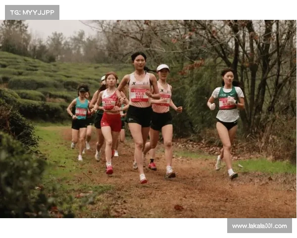 跑步越野赛事网站(国内著名越野跑赛事)