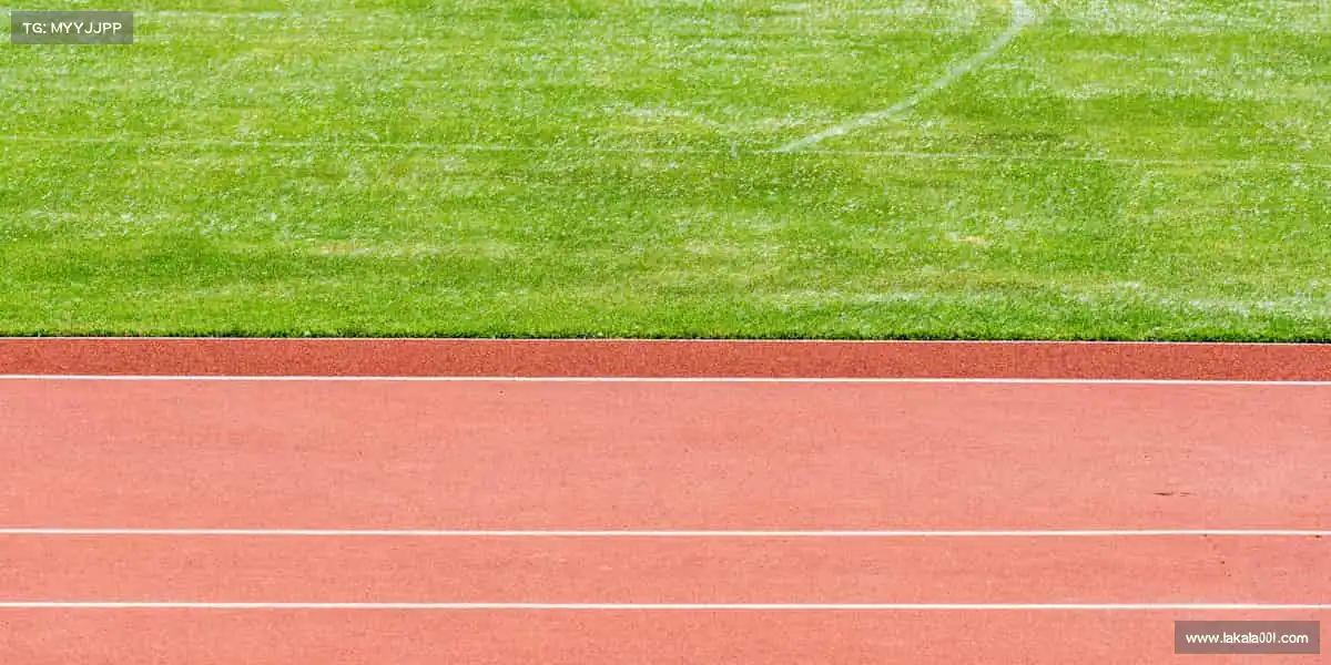 LD乐动体育——🏋️♀️每一份坚持,都值得最好的装备与陪伴!